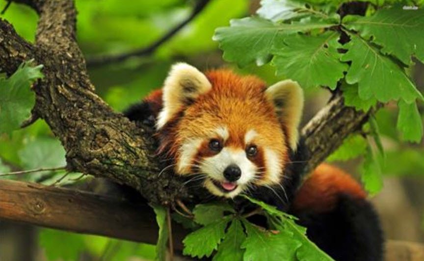 Yordi Rabe Supse Wildlife Sanctuary